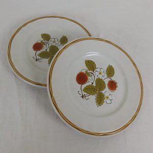 Lot of 2 Hearthside Canadiana Berries Cream Salad Plate Stoneware Made Japan